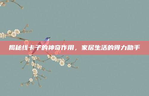 揭秘线卡子的神奇作用，家居生活的得力助手