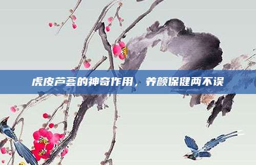 虎皮芦荟的神奇作用，养颜保健两不误