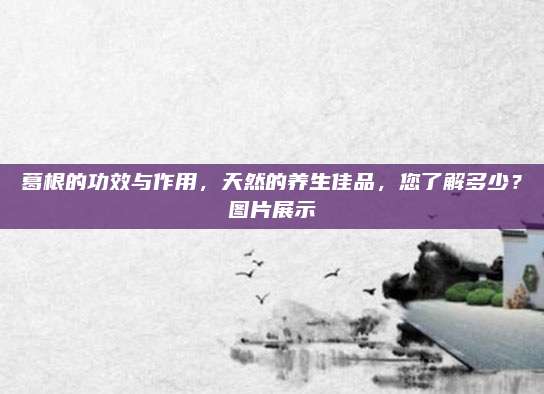 葛根的功效与作用，天然的养生佳品，您了解多少？图片展示