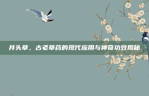 并头草，古老草药的现代应用与神奇功效揭秘