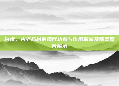 白术，古老药材的现代功效与作用解析及精美图片展示
