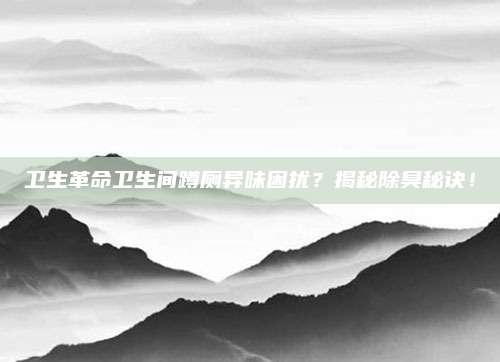 卫生革命卫生间蹲厕异味困扰？揭秘除臭秘诀！