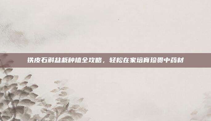 铁皮石斛盆栽种植全攻略，轻松在家培育珍贵中药材