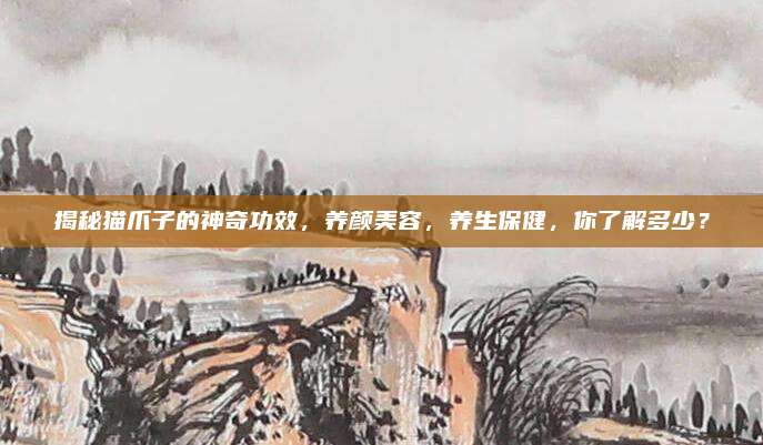 揭秘猫爪子的神奇功效，养颜美容，养生保健，你了解多少？