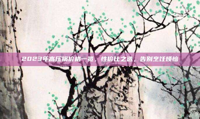 2023年高压锅价格一览，性价比之选，告别烹饪烦恼