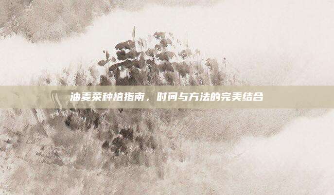 油麦菜种植指南，时间与方法的完美结合