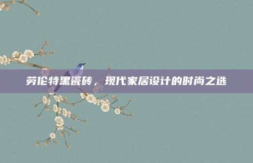 劳伦特黑瓷砖，现代家居设计的时尚之选