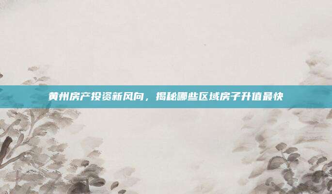黄州房产投资新风向，揭秘哪些区域房子升值最快