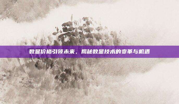 数显价格引领未来，揭秘数显技术的变革与机遇