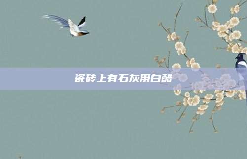 瓷砖上有石灰用白醋