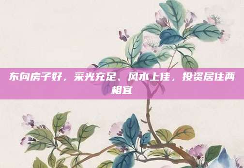 东向房子好，采光充足、风水上佳，投资居住两相宜