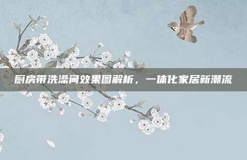 厨房带洗澡间效果图解析，一体化家居新潮流