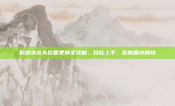 厨房水龙头软管更换全攻略，轻松上手，告别漏水烦恼