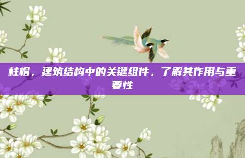 柱帽，建筑结构中的关键组件，了解其作用与重要性