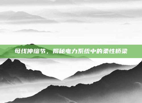 母线伸缩节，揭秘电力系统中的柔性桥梁