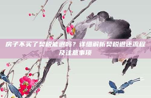房子不买了契税能退吗？详细解析契税退还流程及注意事项