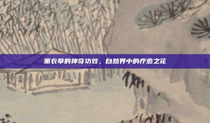 薰衣草的神奇功效，自然界中的疗愈之花