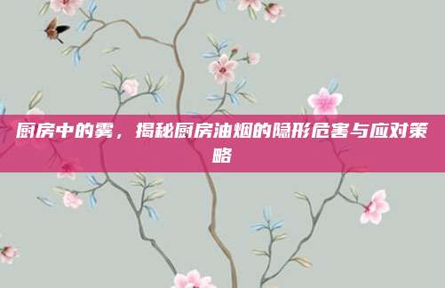 厨房中的雾，揭秘厨房油烟的隐形危害与应对策略