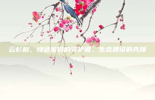 云杉树，绿色家园的守护者，生态建设的先锋