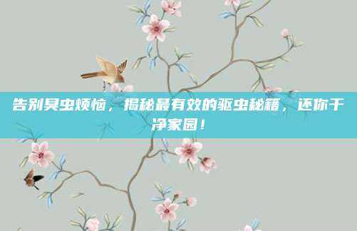 告别臭虫烦恼，揭秘最有效的驱虫秘籍，还你干净家园！