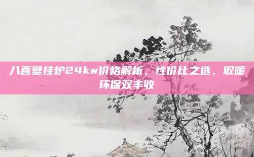 八喜壁挂炉24kw价格解析，性价比之选，取暖环保双丰收