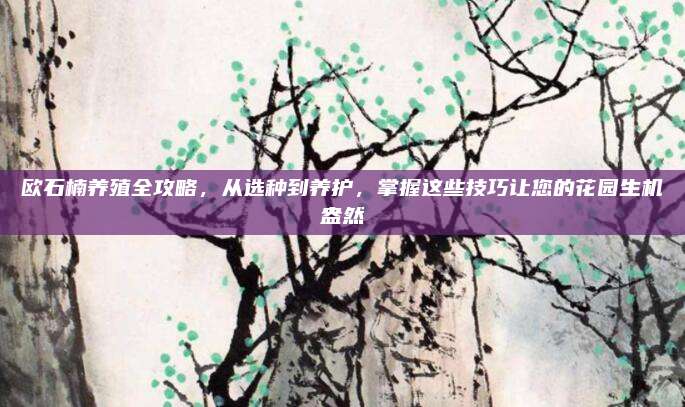 欧石楠养殖全攻略，从选种到养护，掌握这些技巧让您的花园生机盎然