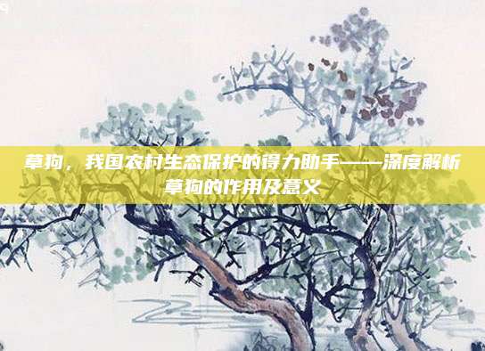 草狗，我国农村生态保护的得力助手——深度解析草狗的作用及意义