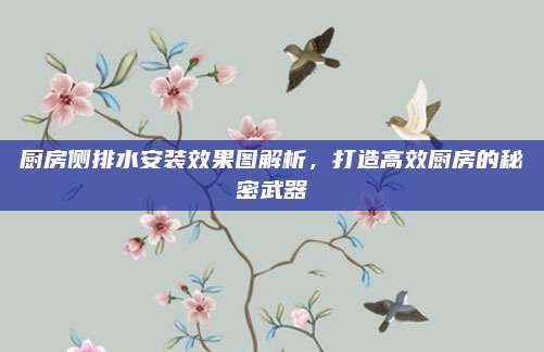厨房侧排水安装效果图解析，打造高效厨房的秘密武器
