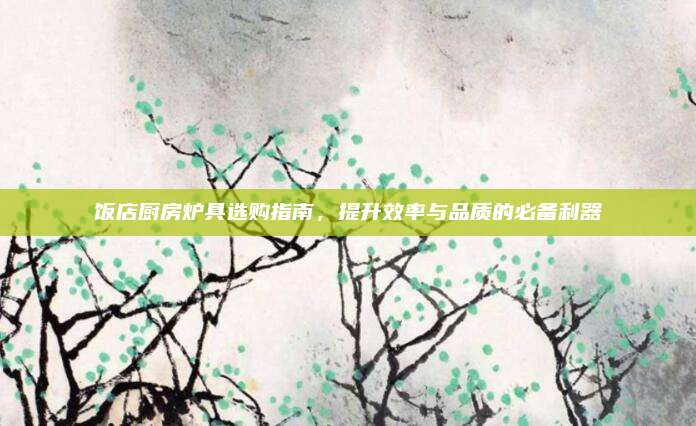 饭店厨房炉具选购指南，提升效率与品质的必备利器