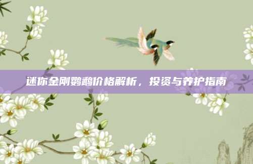 迷你金刚鹦鹉价格解析，投资与养护指南
