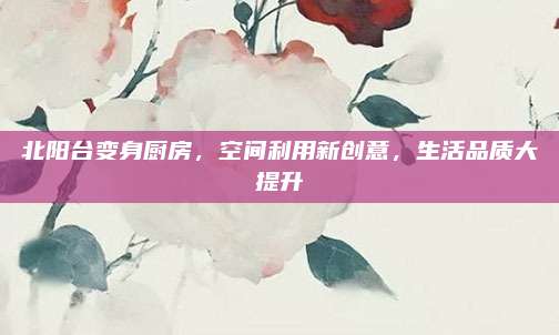 北阳台变身厨房，空间利用新创意，生活品质大提升