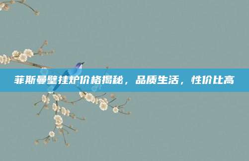 菲斯曼壁挂炉价格揭秘，品质生活，性价比高
