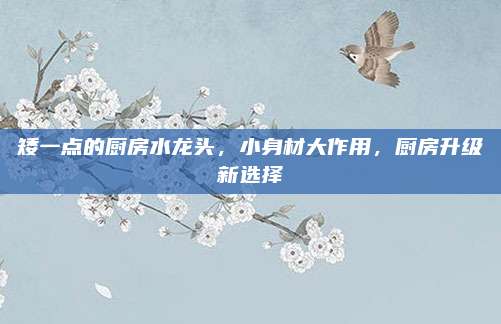 矮一点的厨房水龙头，小身材大作用，厨房升级新选择
