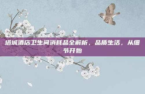塔城酒店卫生间消耗品全解析，品质生活，从细节开始