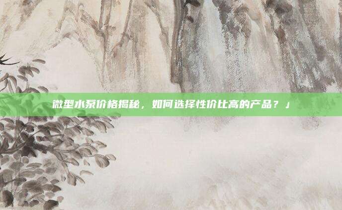 微型水泵价格揭秘，如何选择性价比高的产品？」