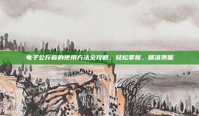 电子公斤称的使用方法全攻略，轻松掌握，精准测量
