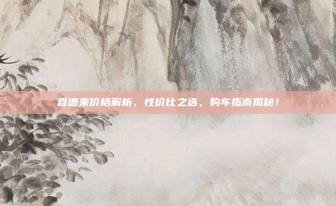 喜德来价格解析，性价比之选，购车指南揭秘！