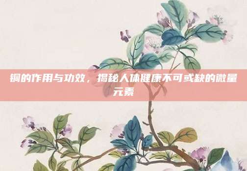 铜的作用与功效，揭秘人体健康不可或缺的微量元素