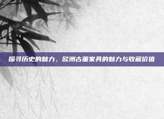 探寻历史的魅力，欧洲古董家具的魅力与收藏价值