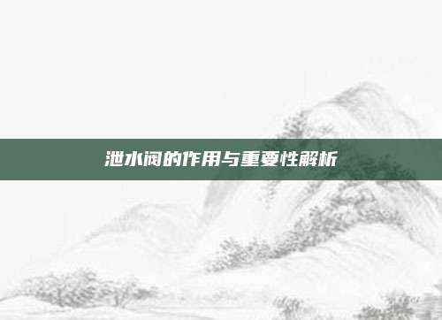 泄水阀的作用与重要性解析