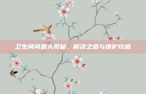 卫生间问题大揭秘，解决之道与维护攻略