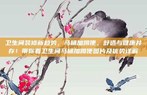 卫生间装修新趋势，马桶加蹲便，舒适与健康并存！带你看卫生间马桶加蹲便图片及优势详解