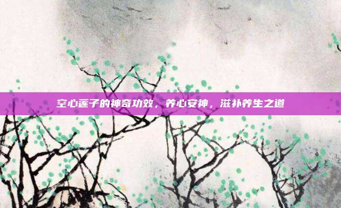 空心莲子的神奇功效，养心安神，滋补养生之道