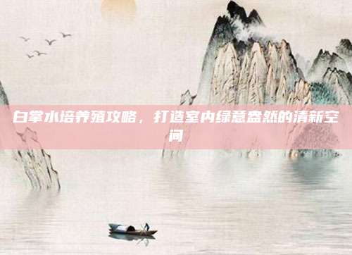 白掌水培养殖攻略，打造室内绿意盎然的清新空间