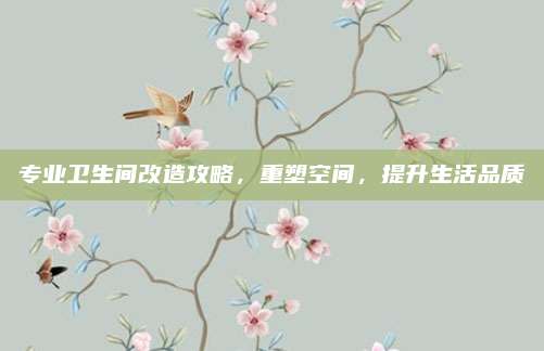 专业卫生间改造攻略，重塑空间，提升生活品质