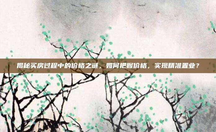 揭秘买房过程中的价格之谜，如何把握价格，实现精准置业？
