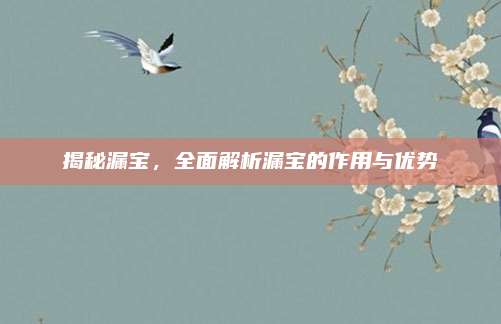 揭秘漏宝，全面解析漏宝的作用与优势