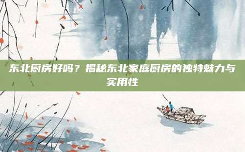 东北厨房好吗？揭秘东北家庭厨房的独特魅力与实用性