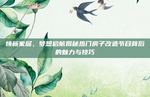 焕新家居，梦想启航揭秘热门房子改造节目背后的魅力与技巧