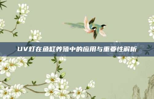 UV灯在鱼缸养殖中的应用与重要性解析